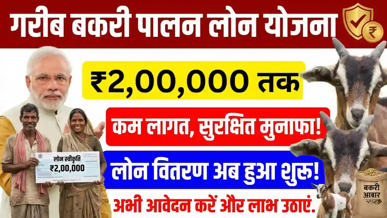 Bakri Palan Loan Yojana 2026