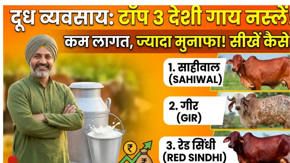 India ki top 3 indian cow